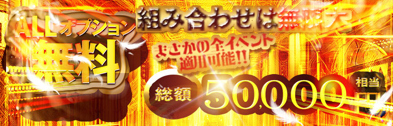 オールオプション無料！